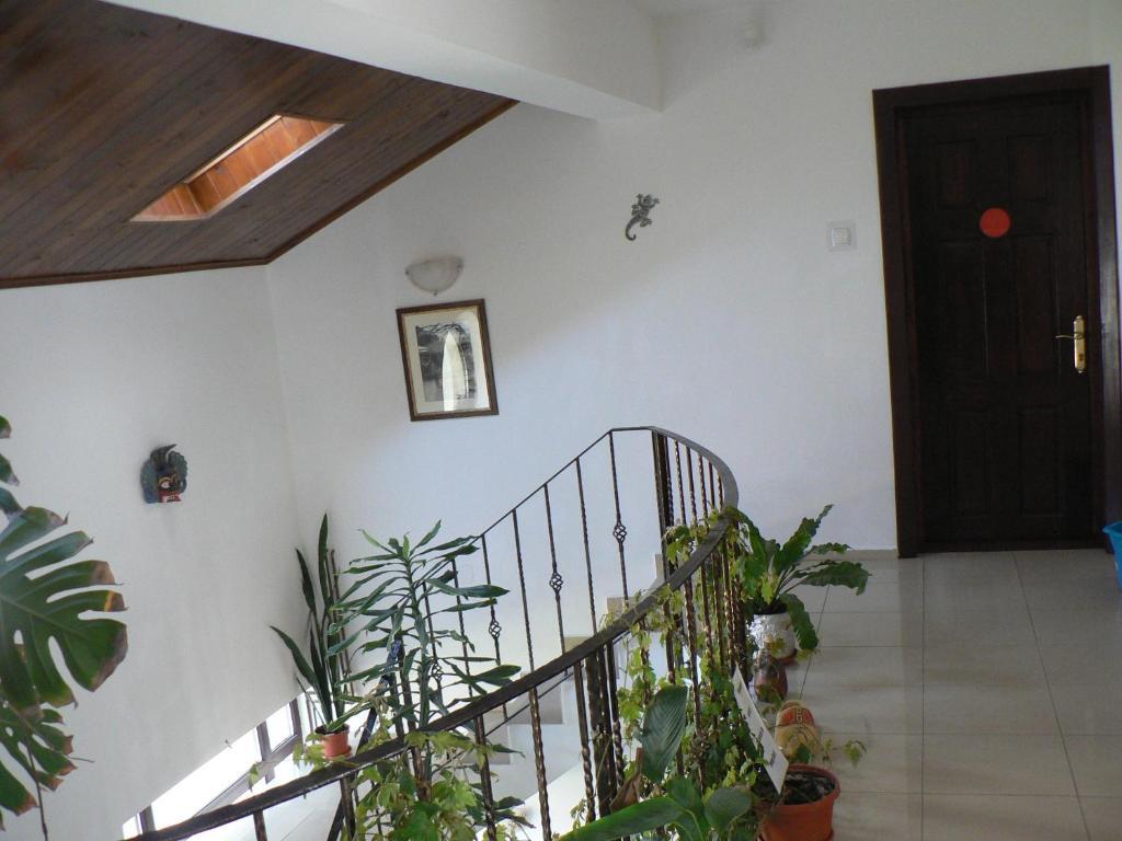Casa Havana (Adults Only) Костинещи Екстериор снимка