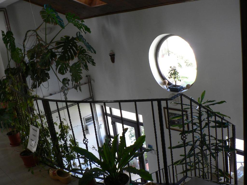 Casa Havana (Adults Only) Костинещи Екстериор снимка