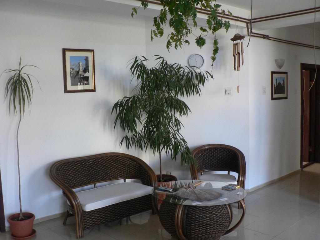 Casa Havana (Adults Only) Костинещи Екстериор снимка