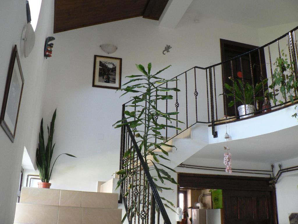 Casa Havana (Adults Only) Костинещи Екстериор снимка