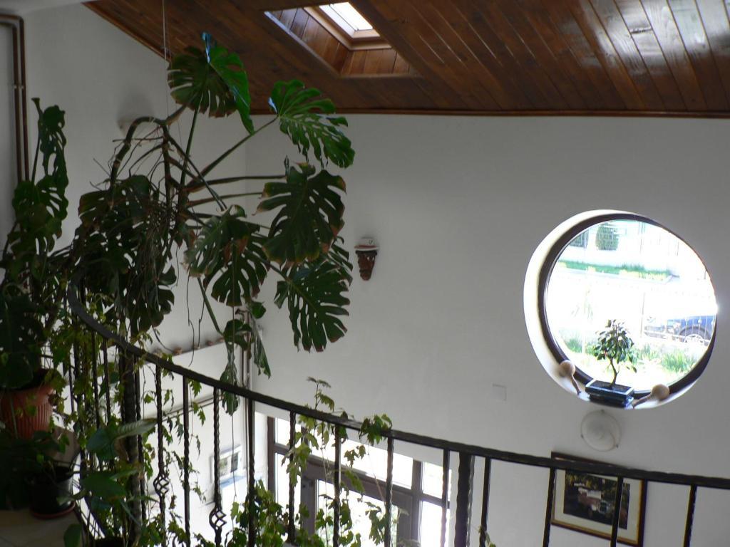 Casa Havana (Adults Only) Костинещи Екстериор снимка