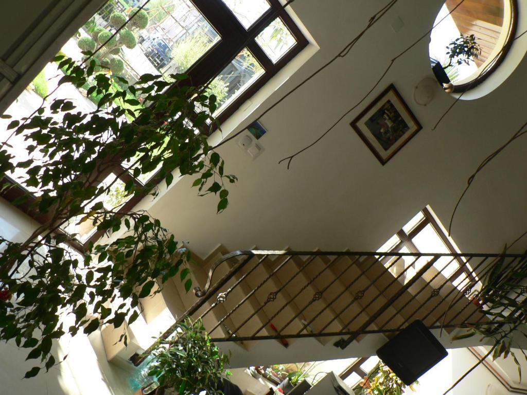 Casa Havana (Adults Only) Костинещи Екстериор снимка