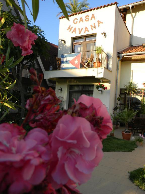 Casa Havana (Adults Only) Костинещи Екстериор снимка