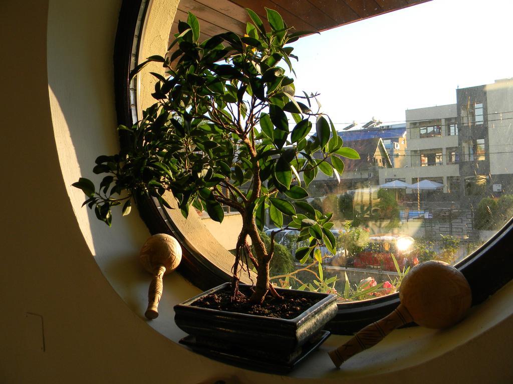 Casa Havana (Adults Only) Костинещи Екстериор снимка